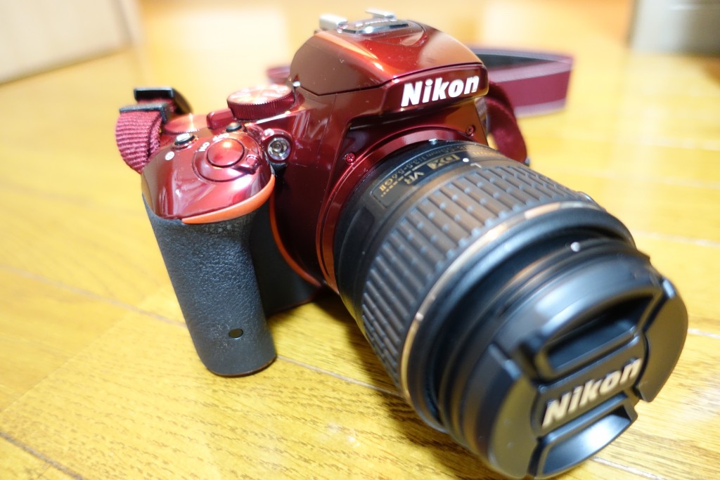 ディズニー撮影にも使える一眼レフカメラ Nikon D5500 おすすめのレンズ紹介 ズーム 望遠 単焦点 ひよこファミリー