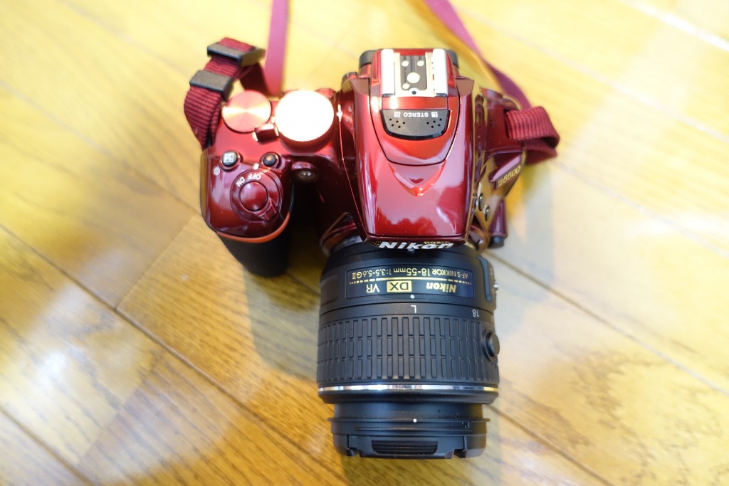ディズニー撮影にも使える一眼レフカメラ Nikon D5500 おすすめのレンズ紹介 ズーム 望遠 単焦点 ひよこ夫婦