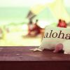 アウラニディズニー旅行準備：ハワイと日本の時差、ハワイの島の名前や定番観光エリアをチェック！