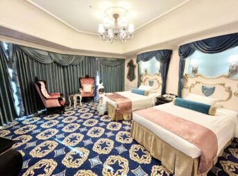 東京ディズニーランドホテル ひよこファミリー 東京ディズニーランドホテル ひよこファミリー